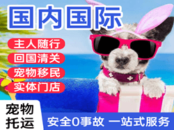 桃仙航空货运国际宠物托运 【国